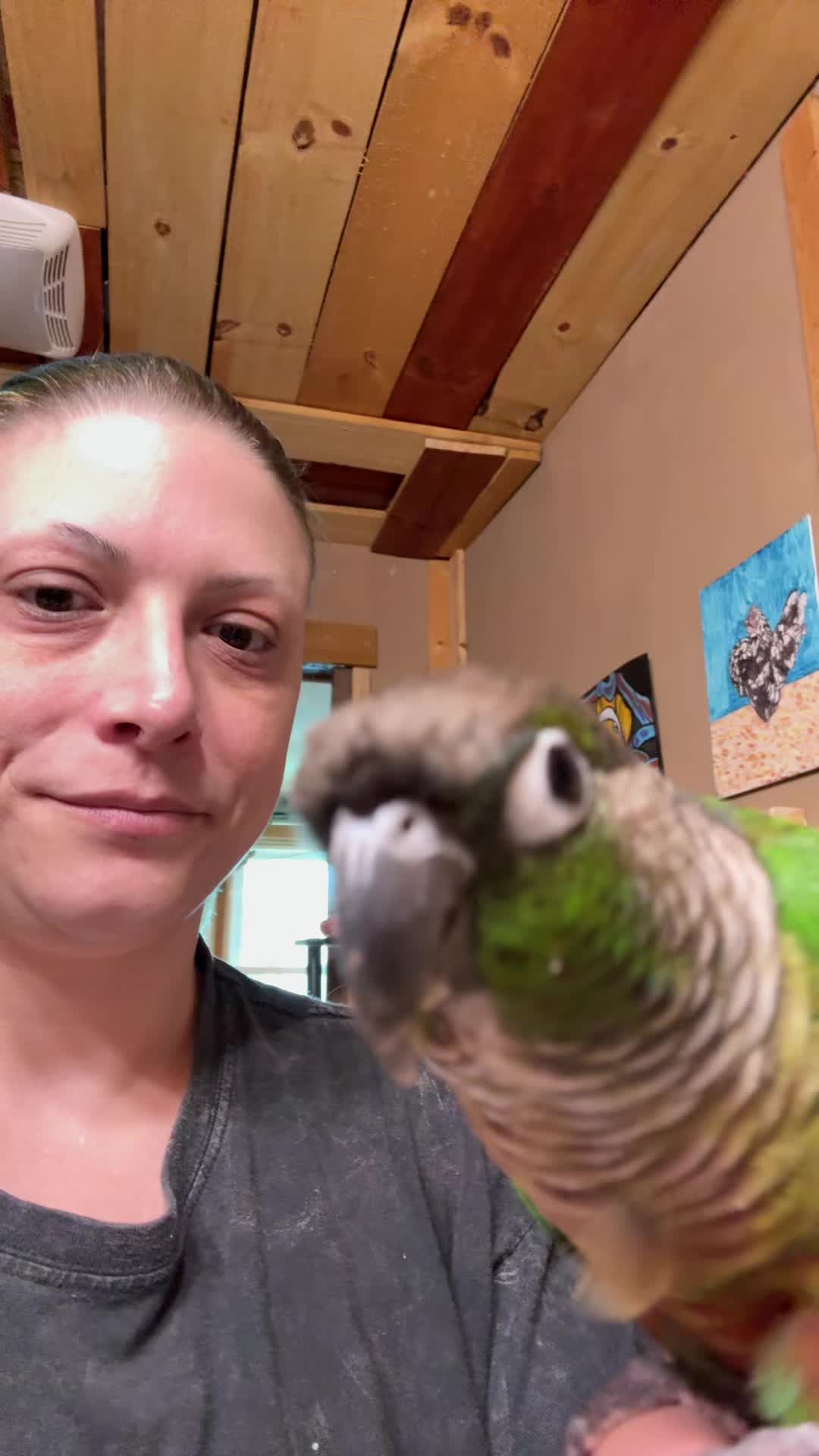 @birdgirl411