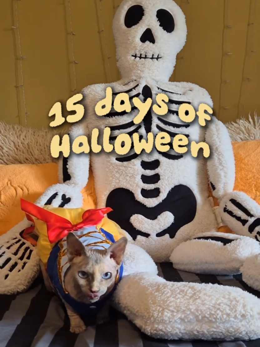 @cloe 🍋🍿🎃