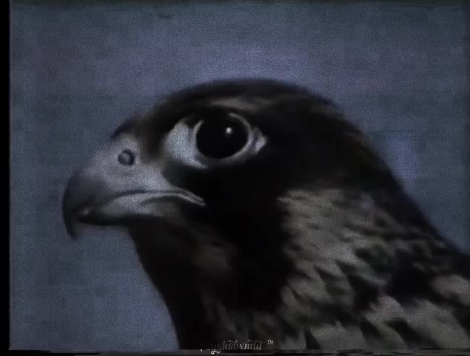 @𝙋𝙎𝙔𝙓𝙃𝙊𝘽𝙓𝙉𝘿𝙄𝙏 &trade;