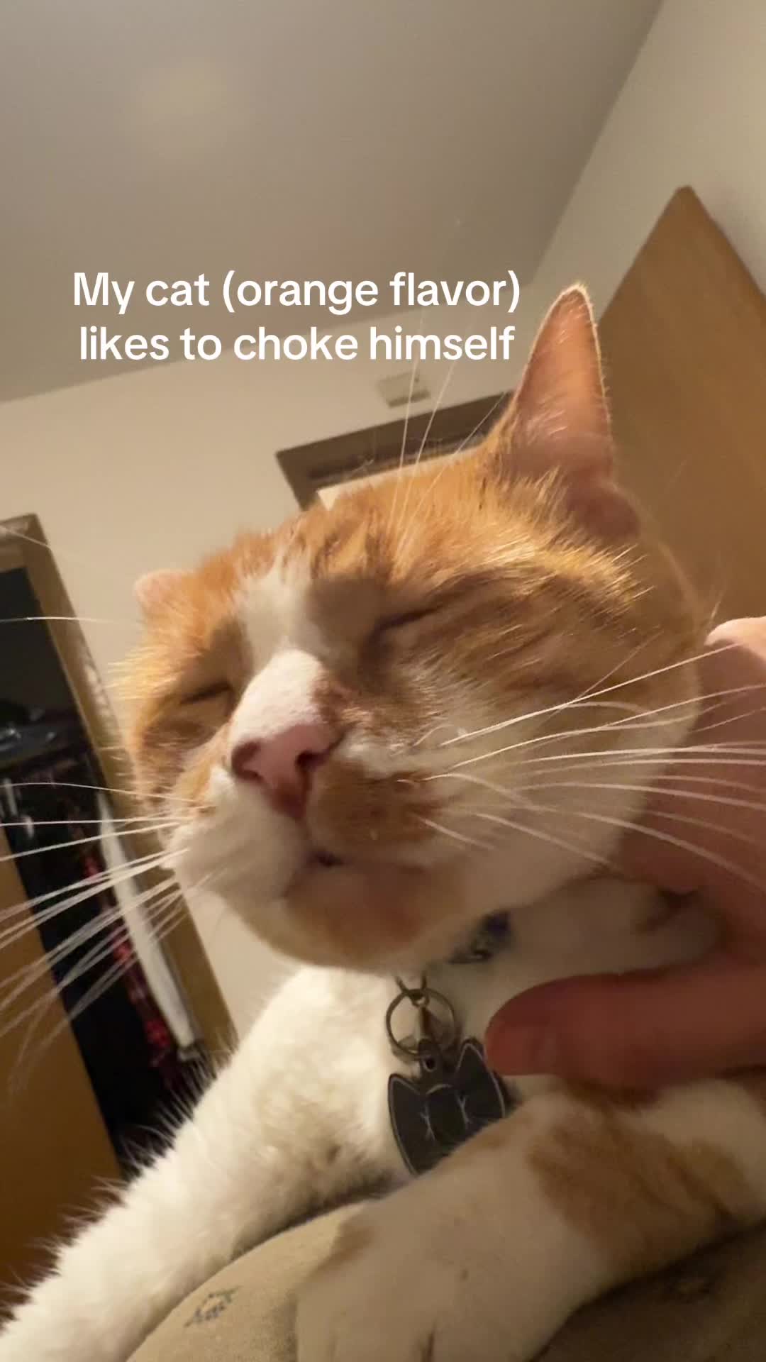 @Micah