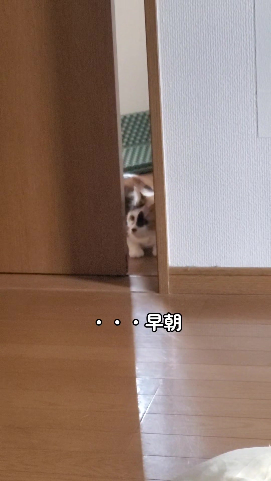 @😻kazuki😻