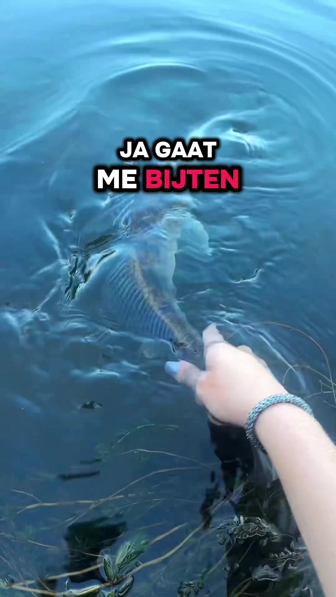@visvrouwxo🐠
