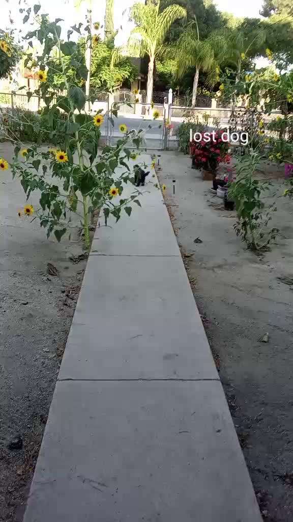 @🦋elsieroman25🦋
