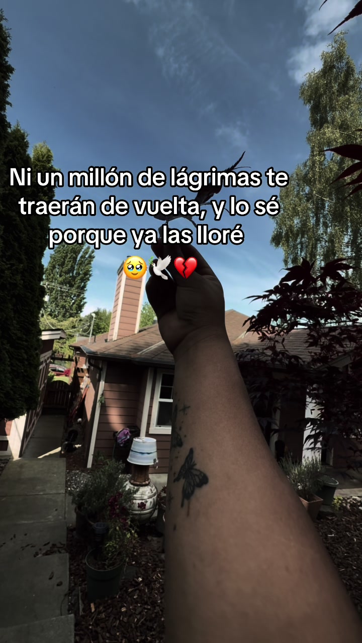 @Niky💔🥹🕊️
