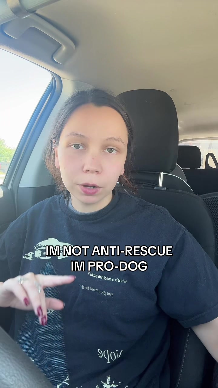 @Kayleigh + Dogs