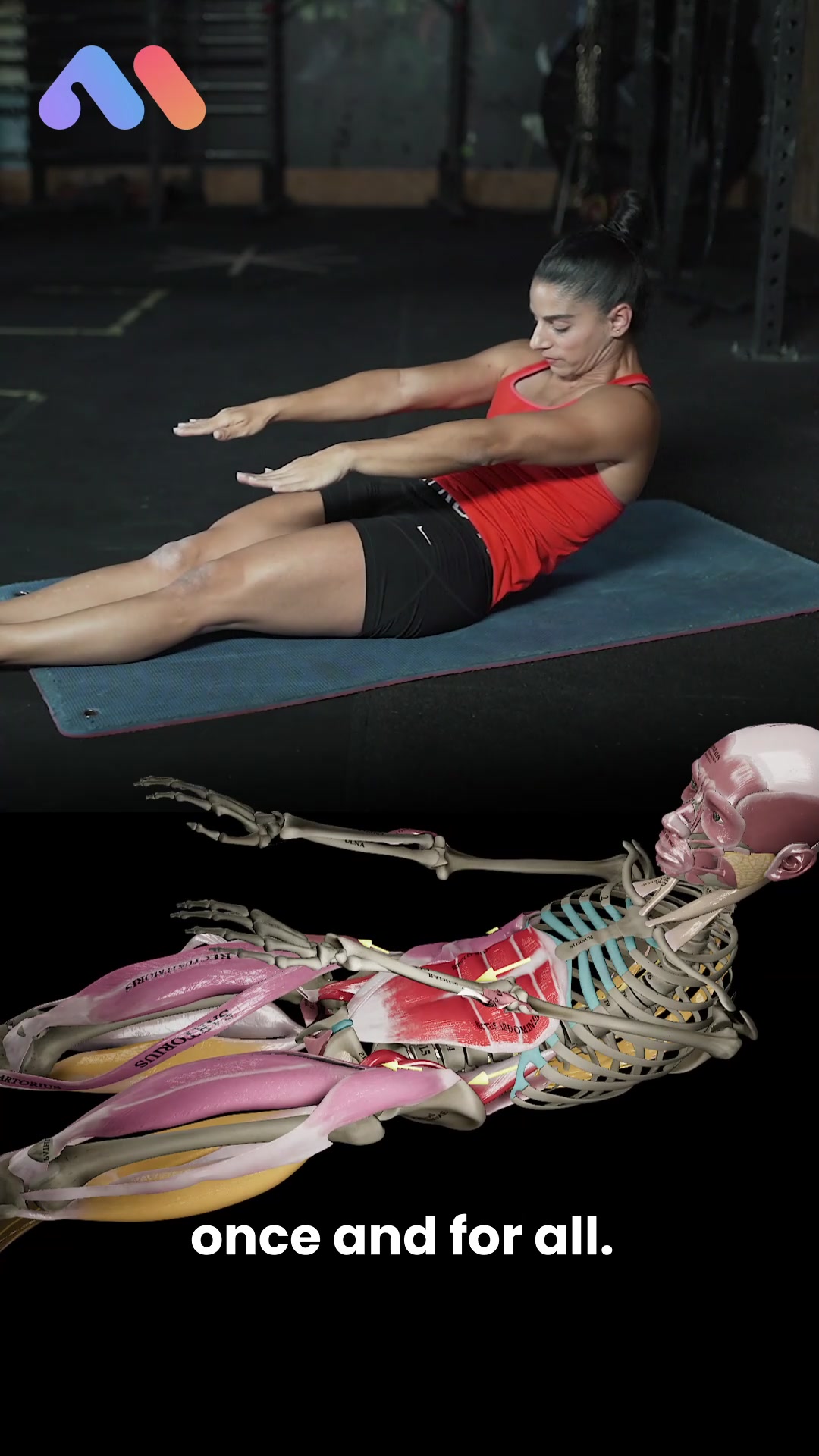 @Muscle & Motion