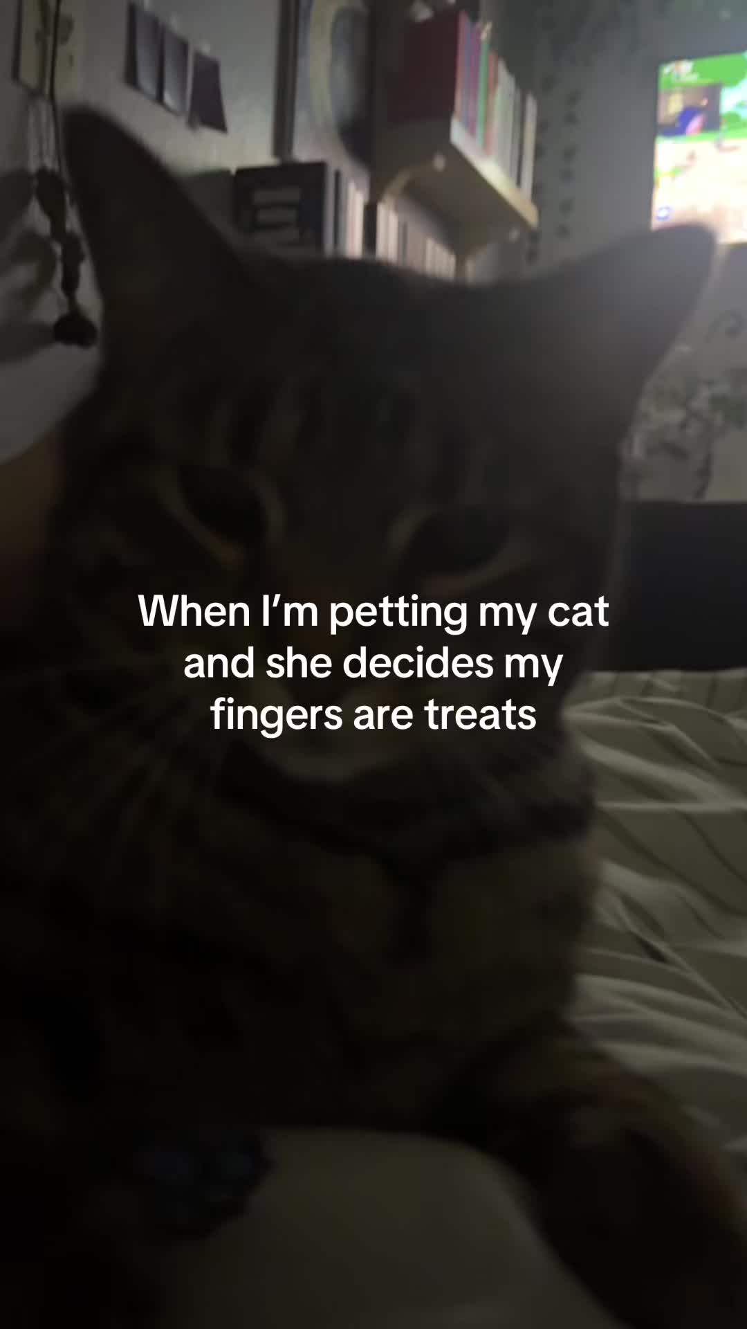 @K.