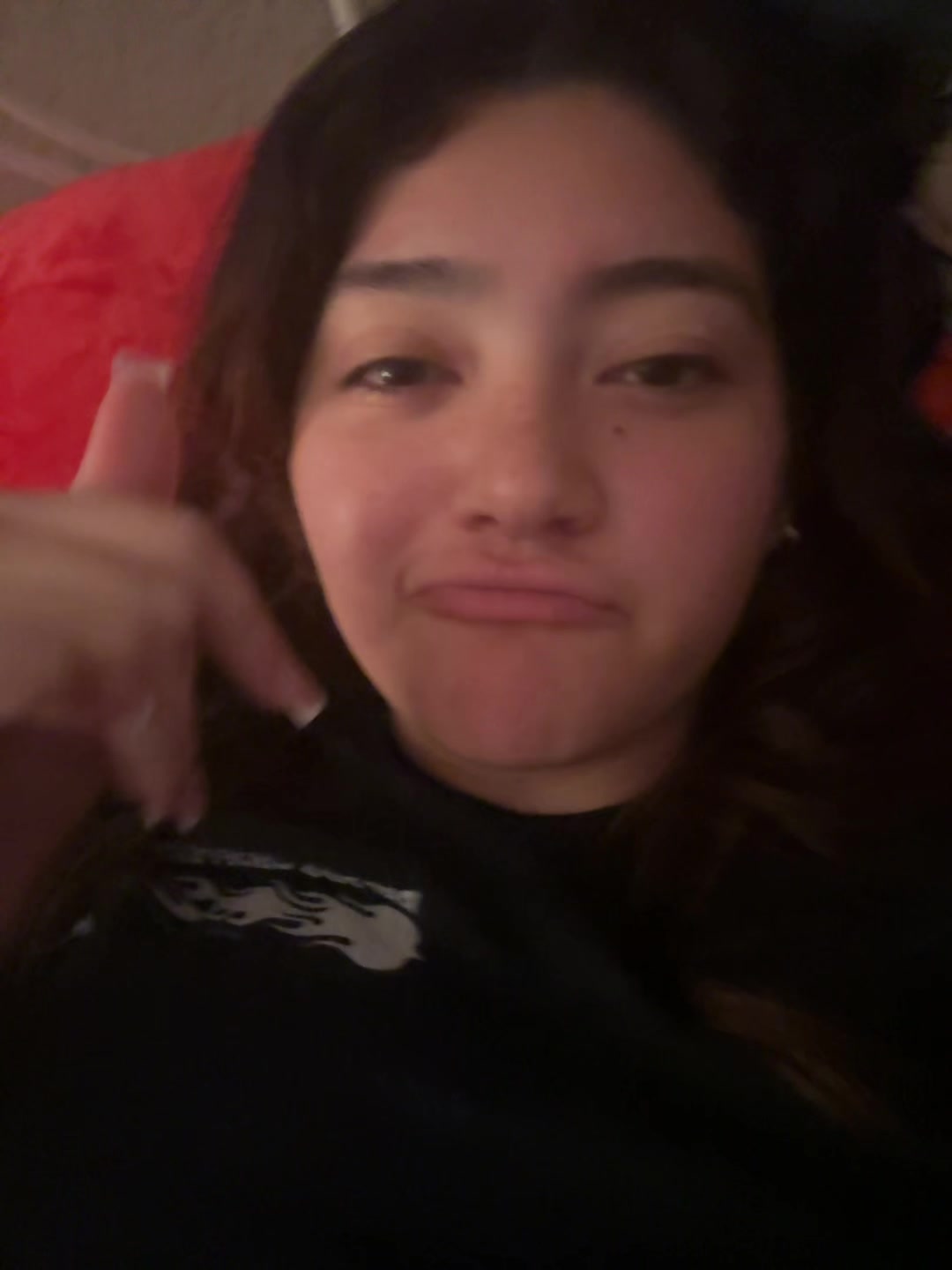 @🐝anca