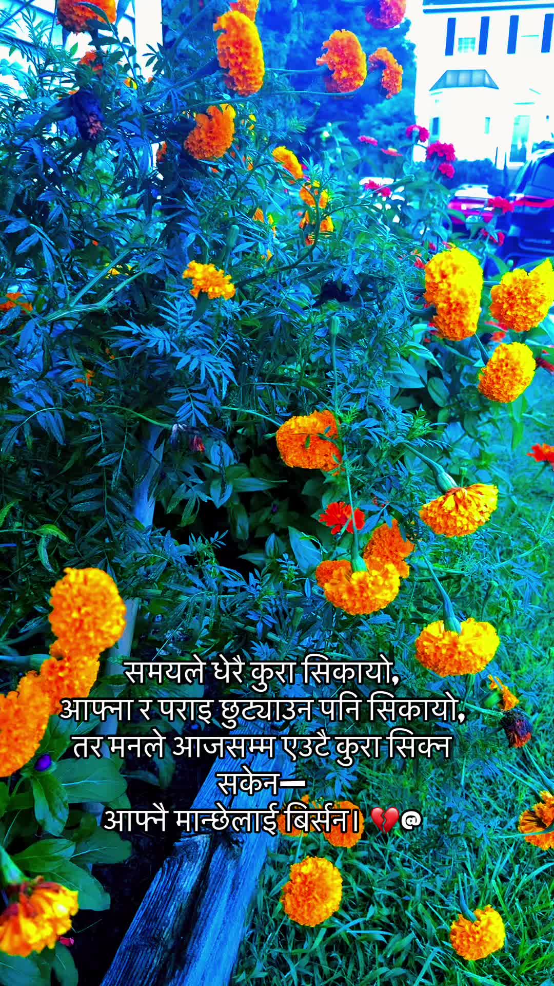 @Manish Adhikari