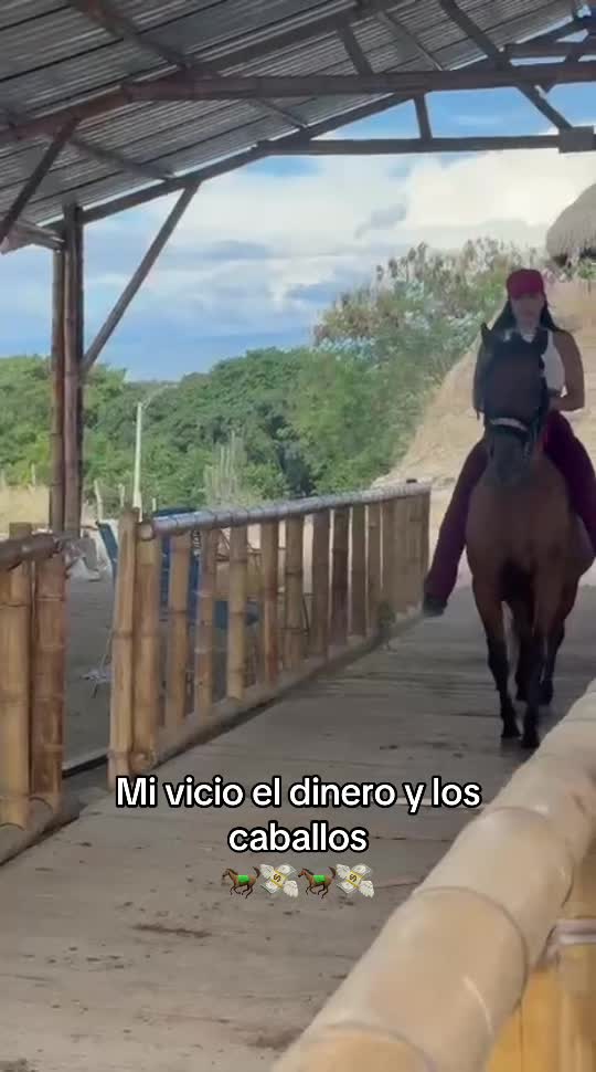 @🐎POTRA DESOBEDIENTE 👻🖤