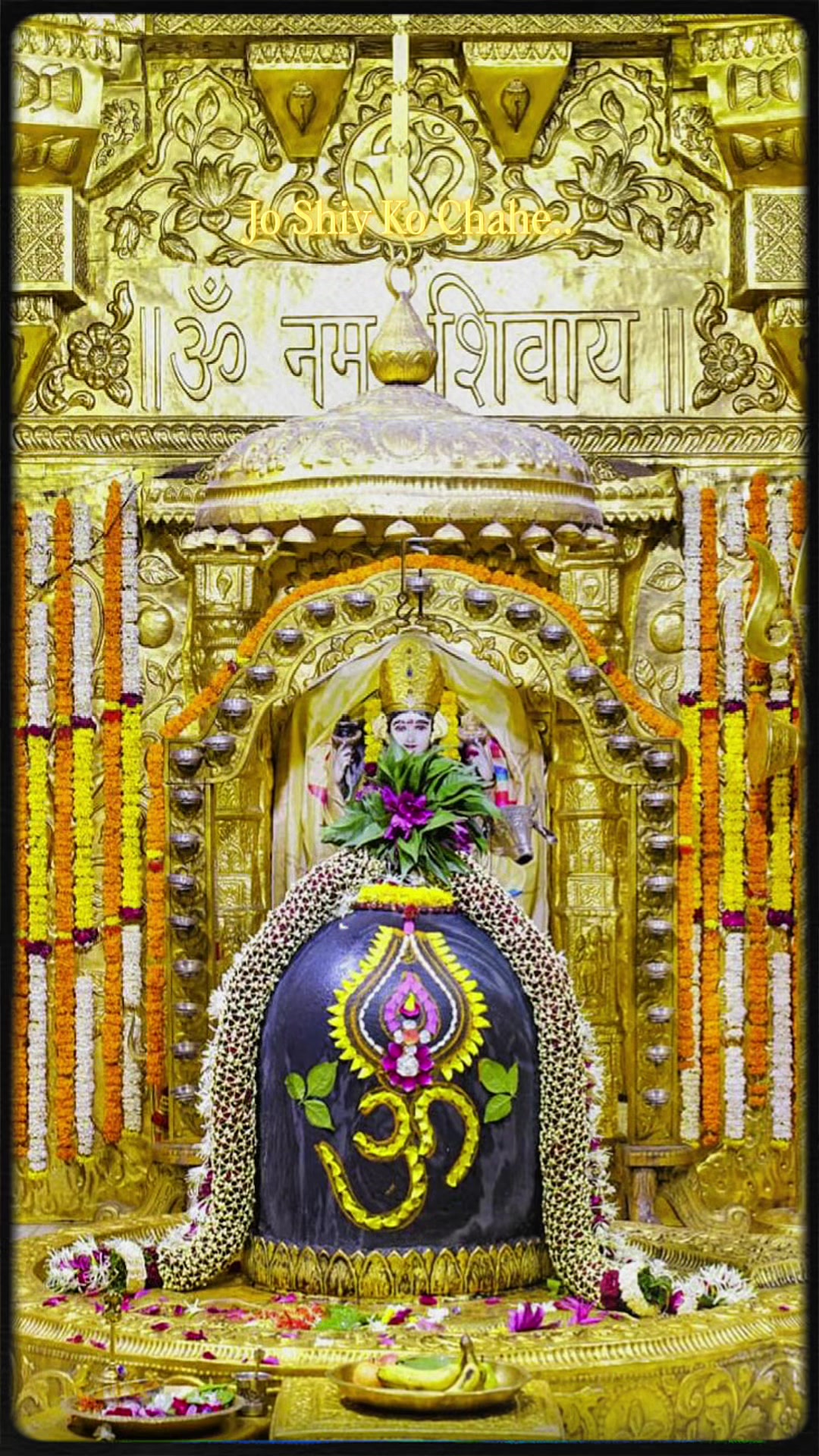 @Radha Radha 🙏