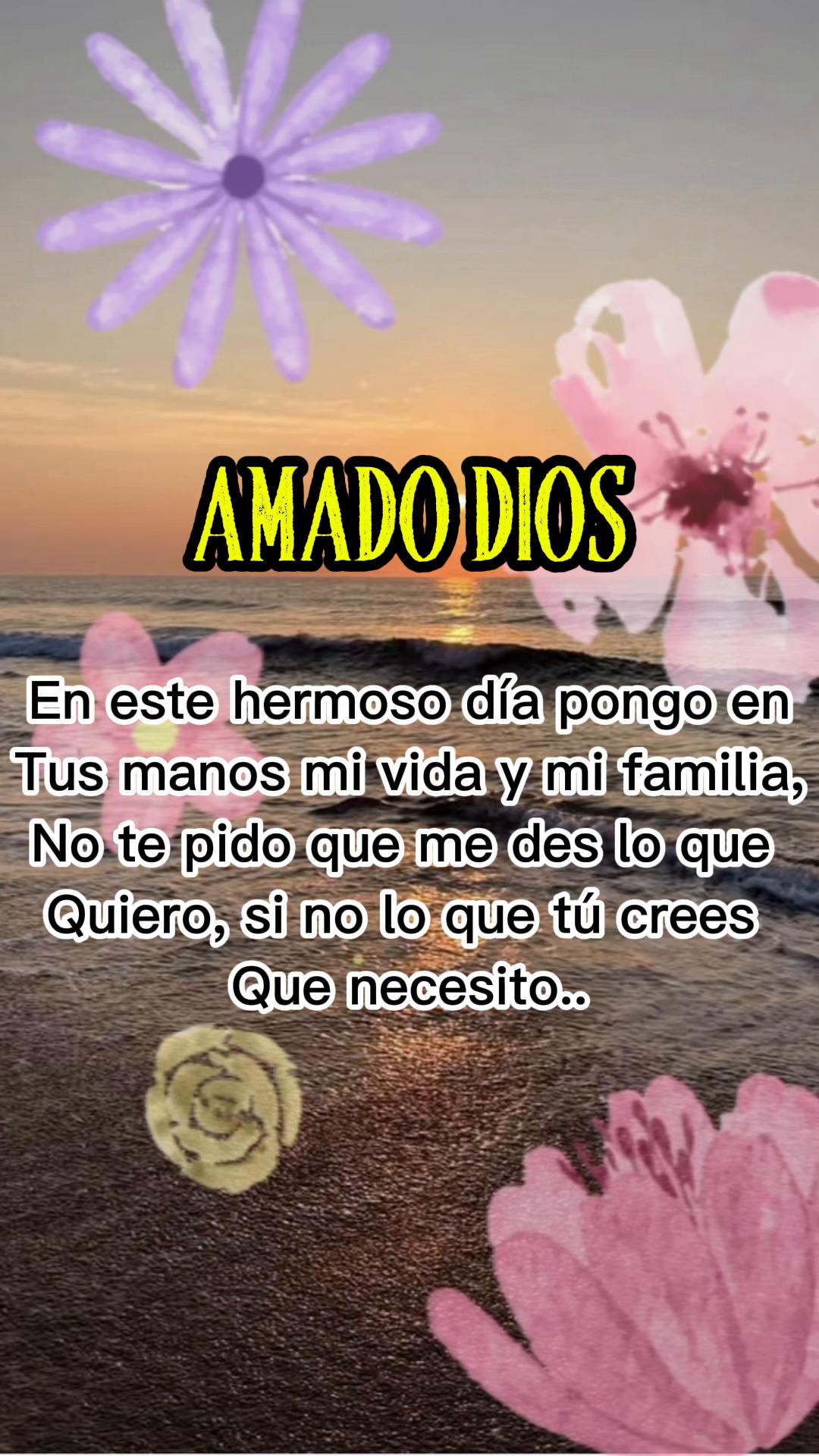 @Zoila✨🦋