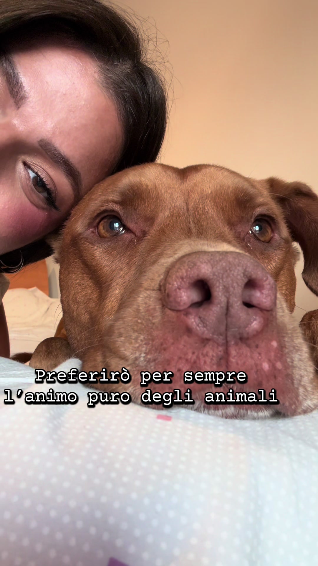 @carlottamel_