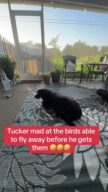 @🙏🇺🇸Tn🇺🇸MamaBear🇺🇸🙏