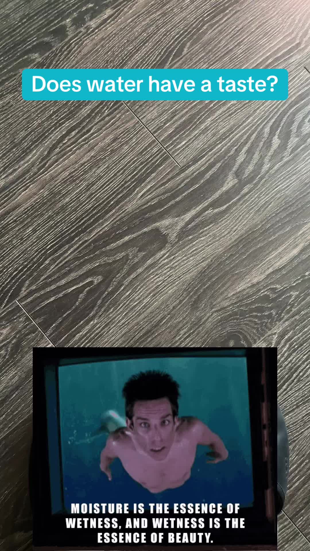 @jeremyquang