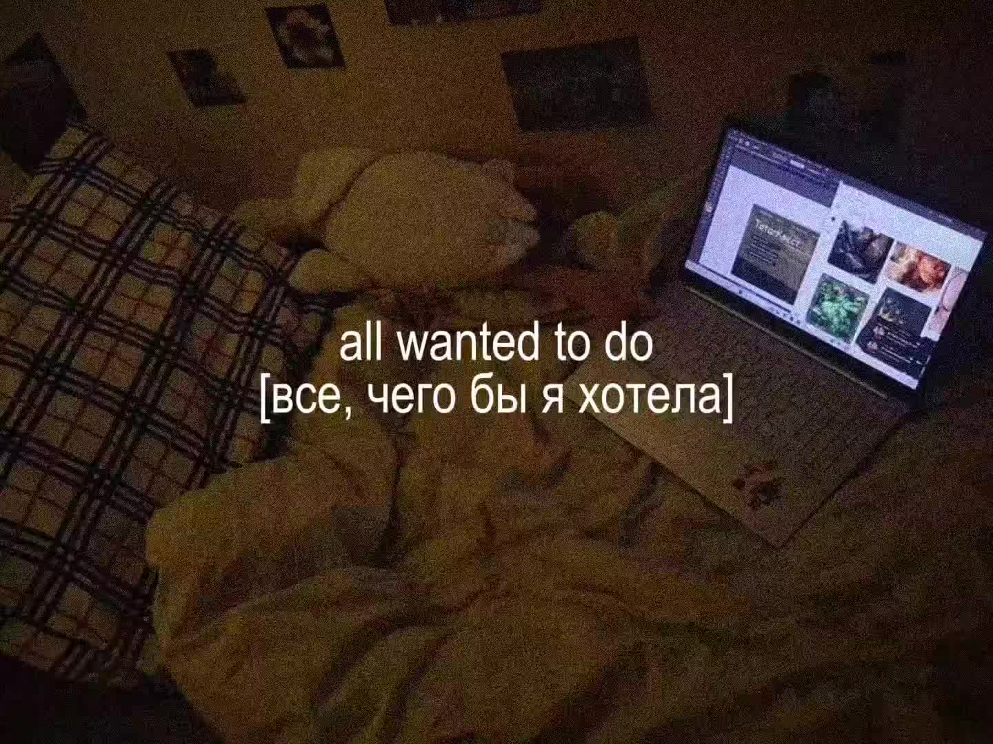 @𝐥𝐨𝐦𝐢𝐱𝐬𝐚