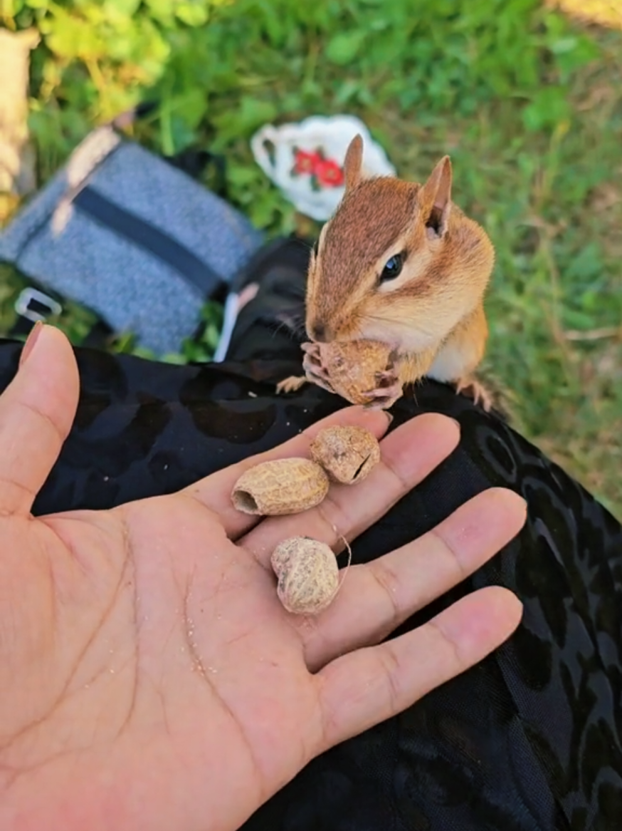@I Love Nature