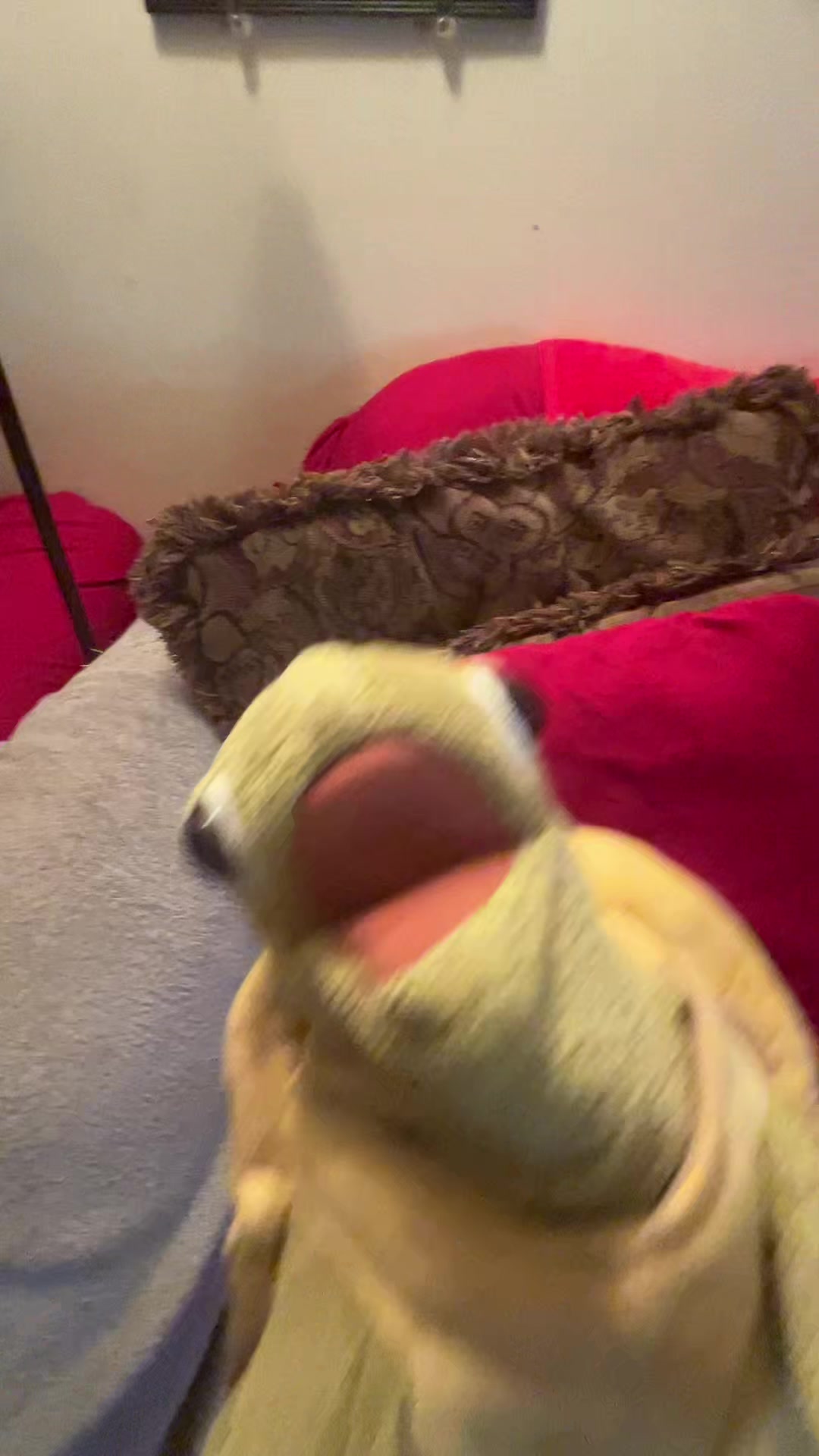 @Josh
