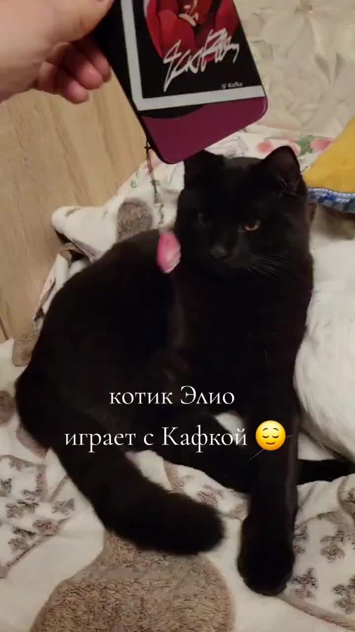 @Алекс Уроборос