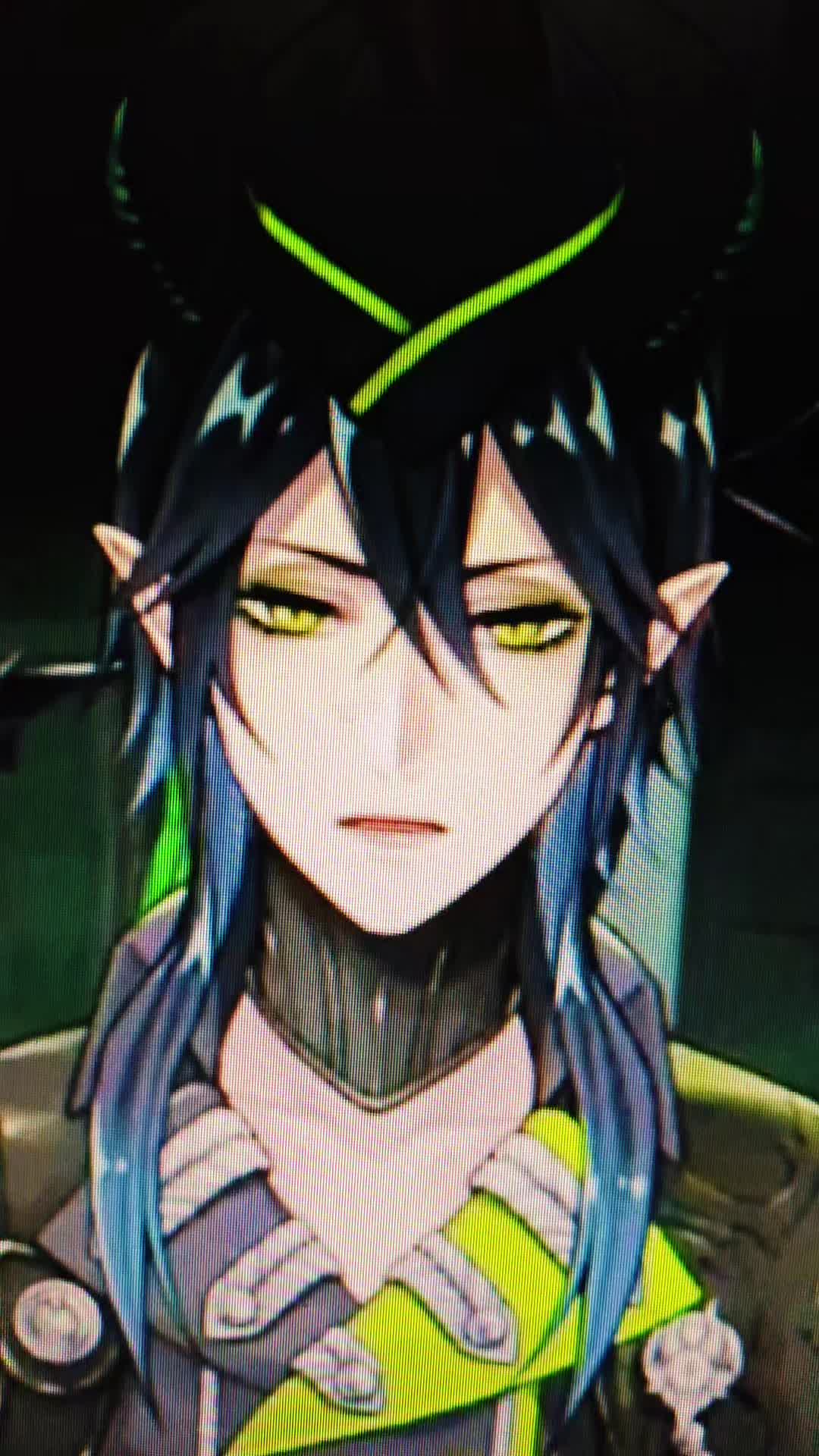 @Box Cat Yuuki