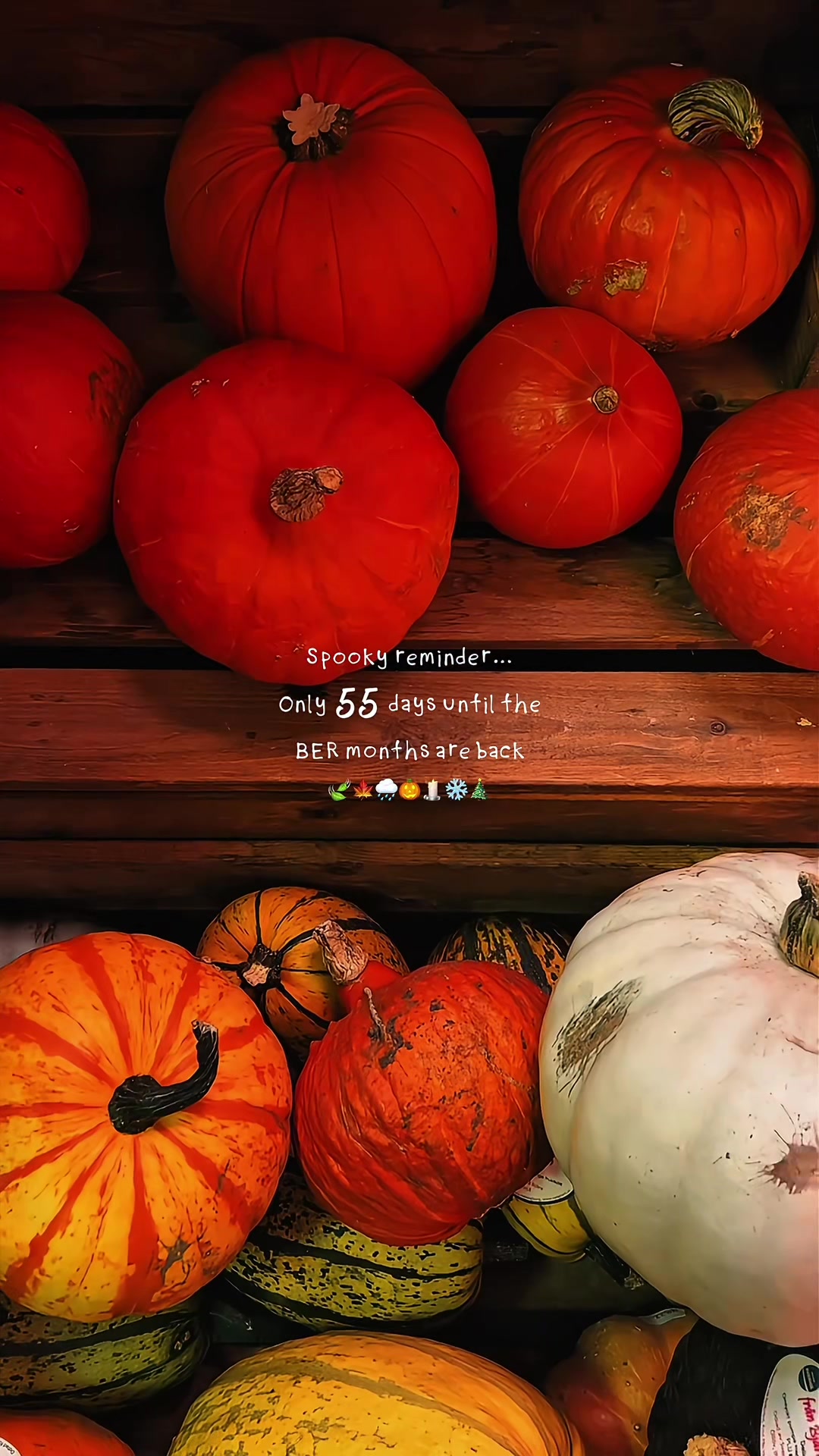 @spookygirldiaries