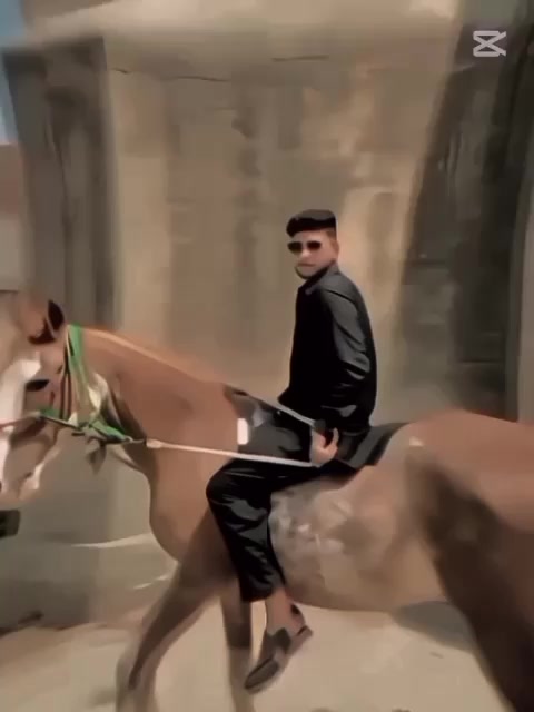 @SHOAIBDOGAR