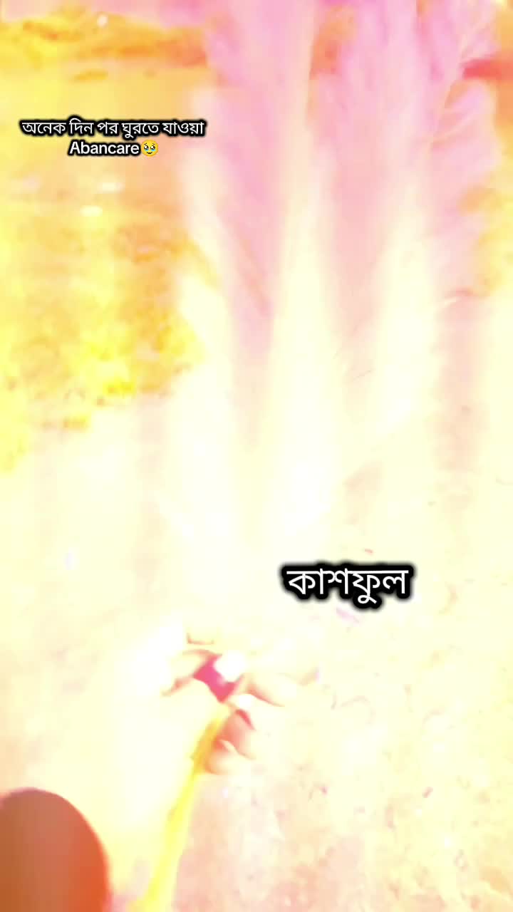 @★ 𝑻𝒂𝒏𝒊𝒔𝒉𝒂....!! ᥫ᭡ 🕊