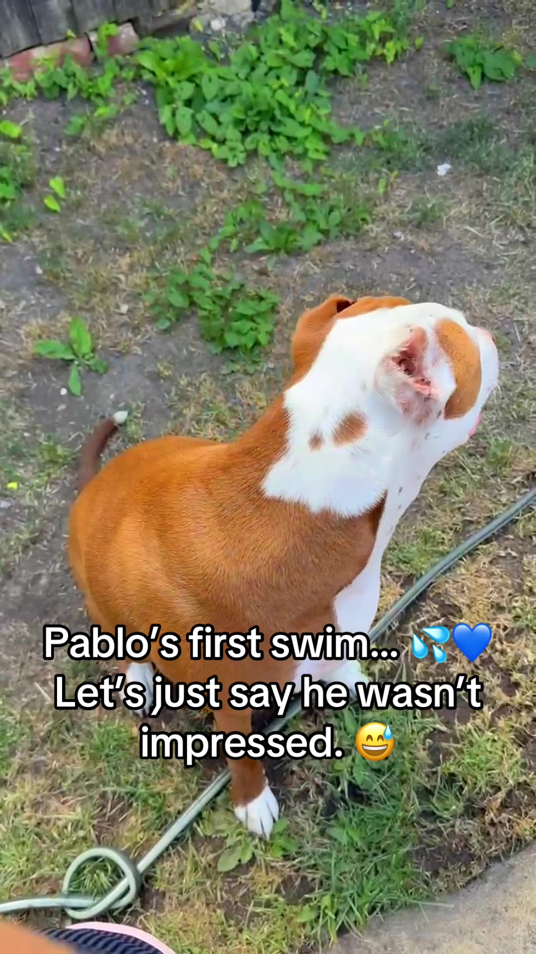 @Emanuela & Pablo
