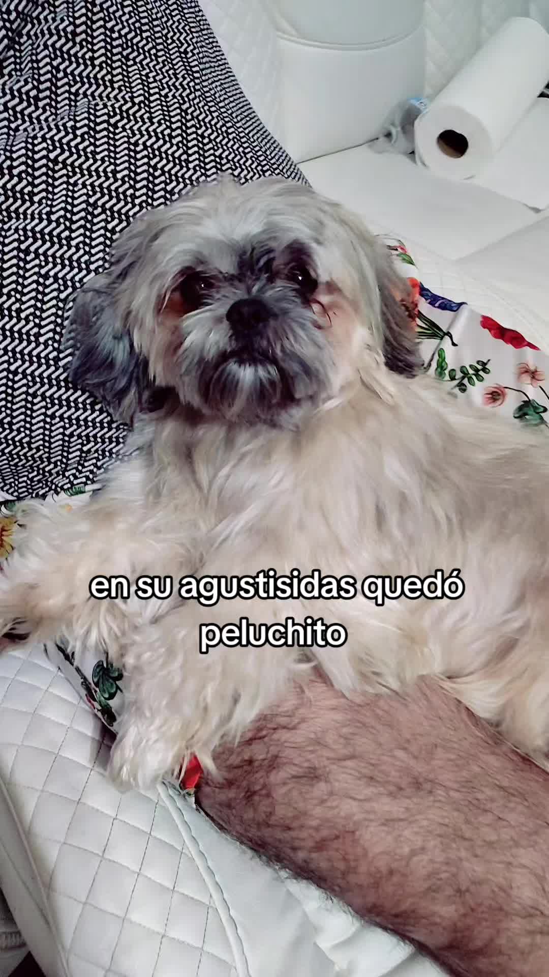 @Andrea Campos