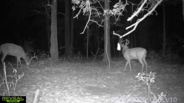 @barcoutdoors