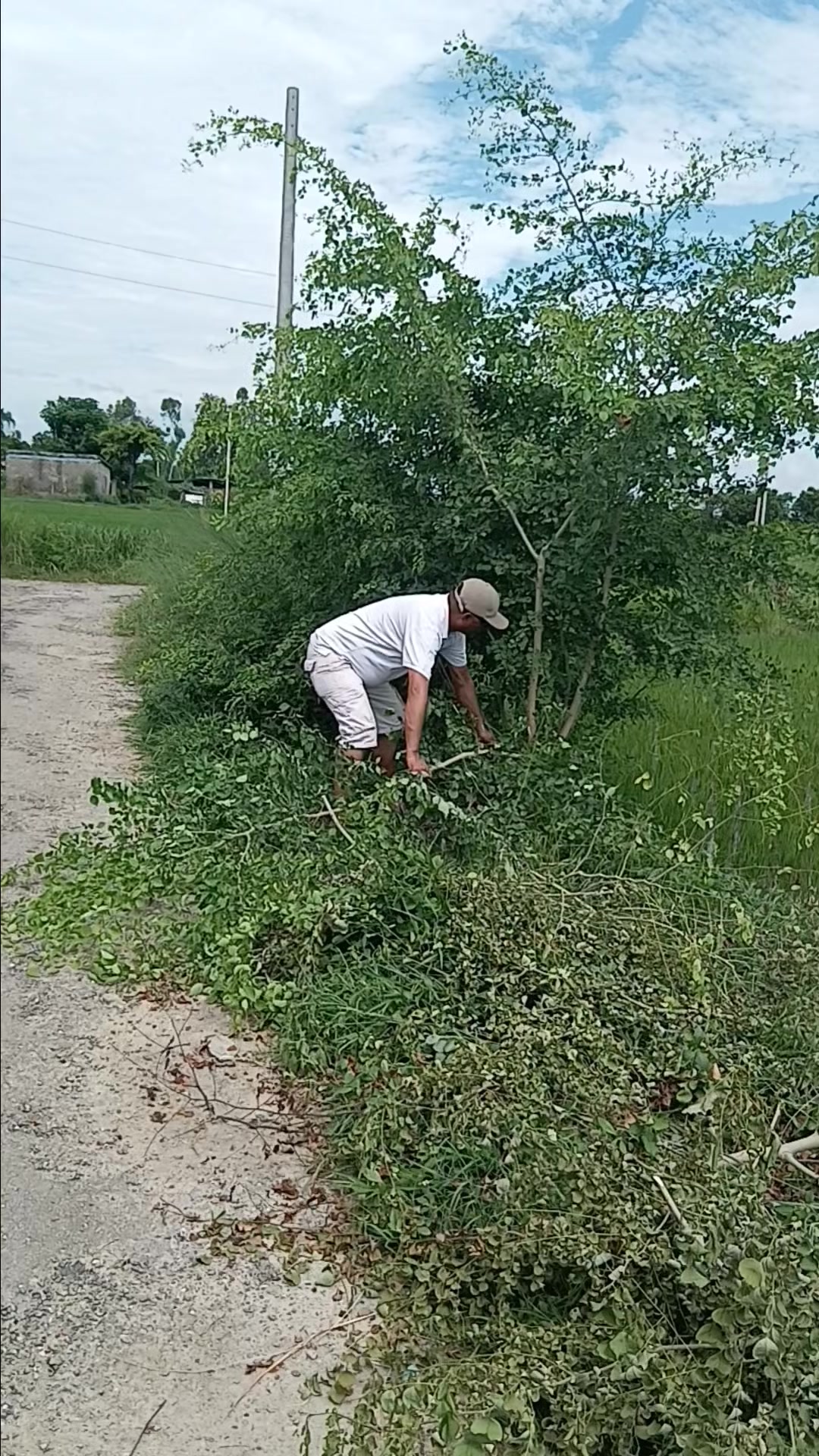 @Krishnabashyal123