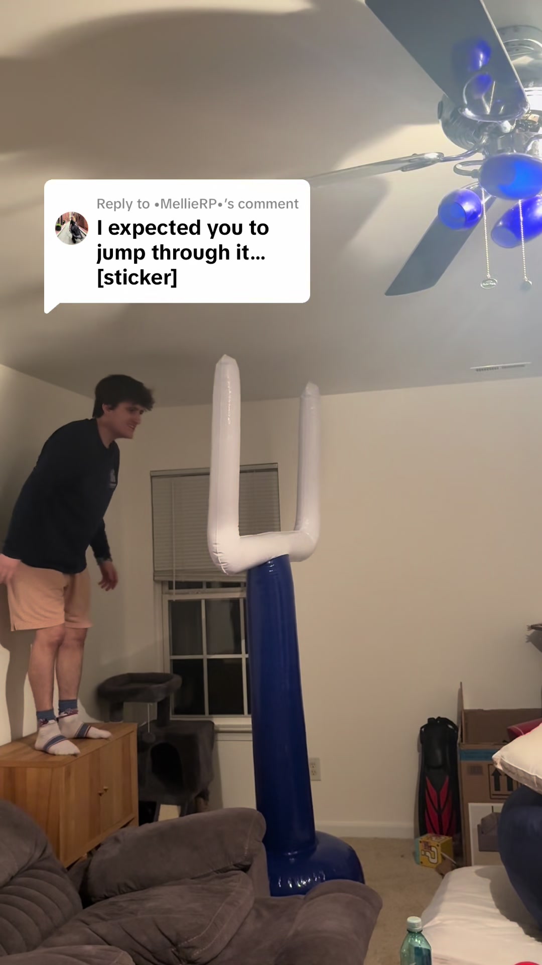 @Dan the Man