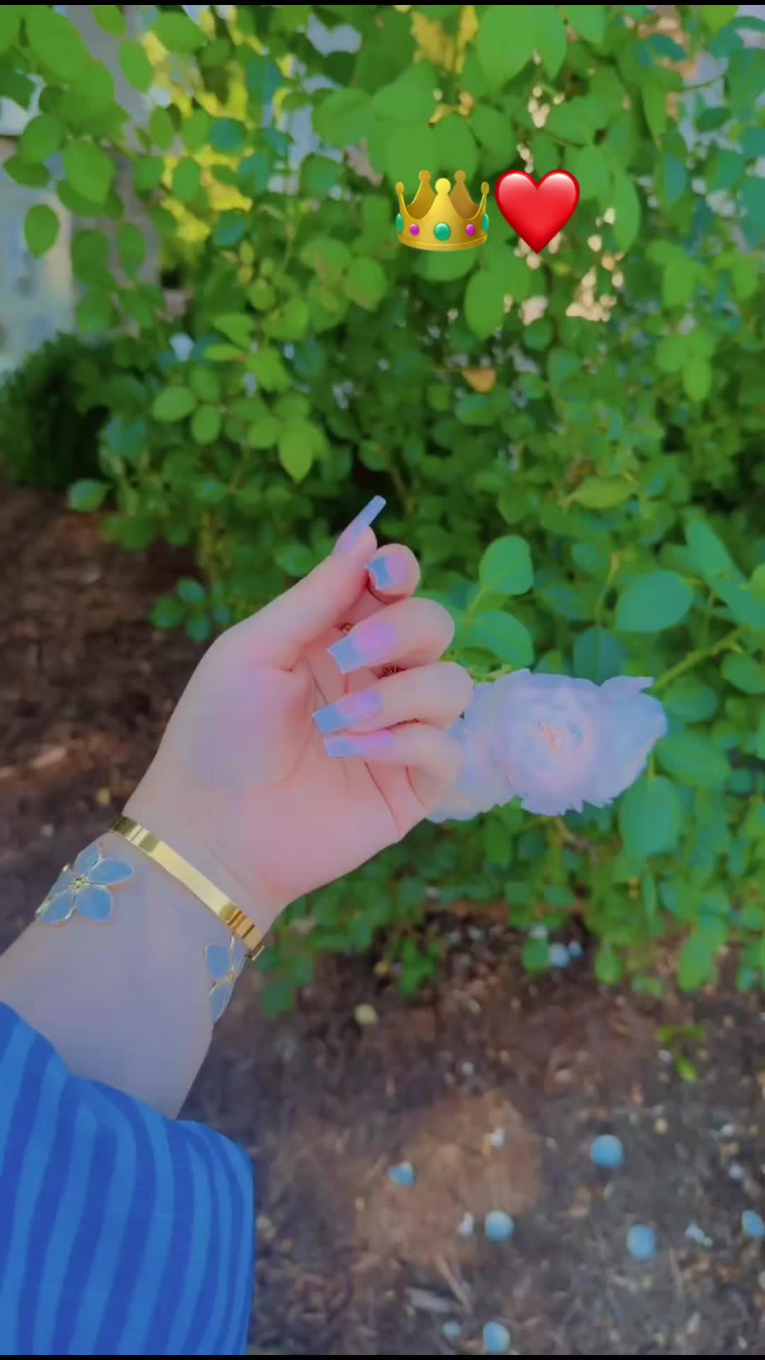 @queenhamta5