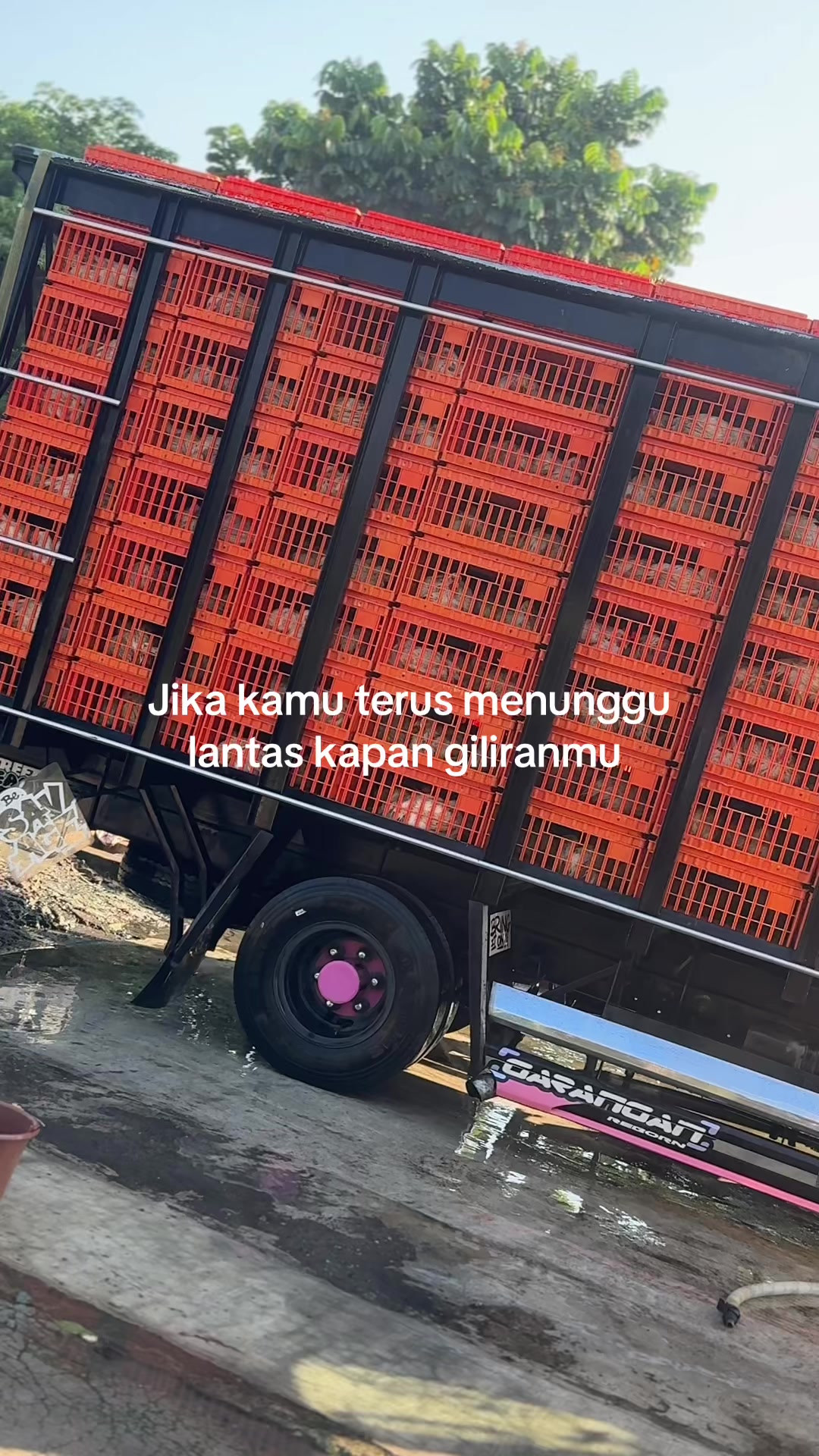 @๐ธ๐๐๐๐๐๐หหหโกหหห