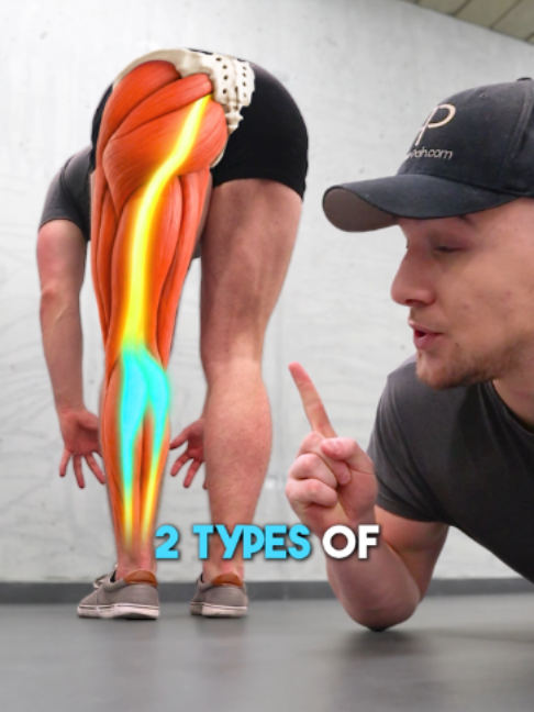 @Recover Pain