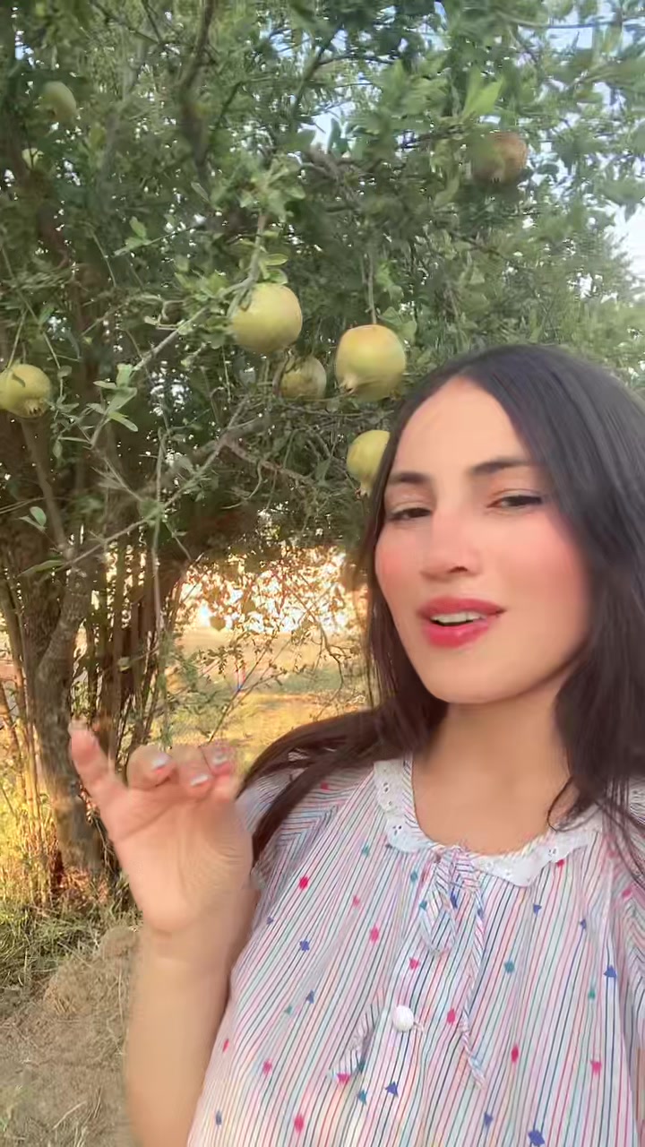 @siwar.bl.20