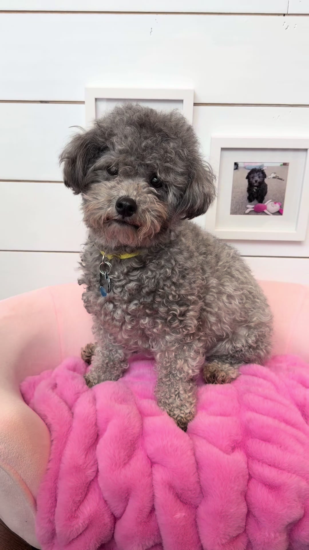 @Taylor and Max