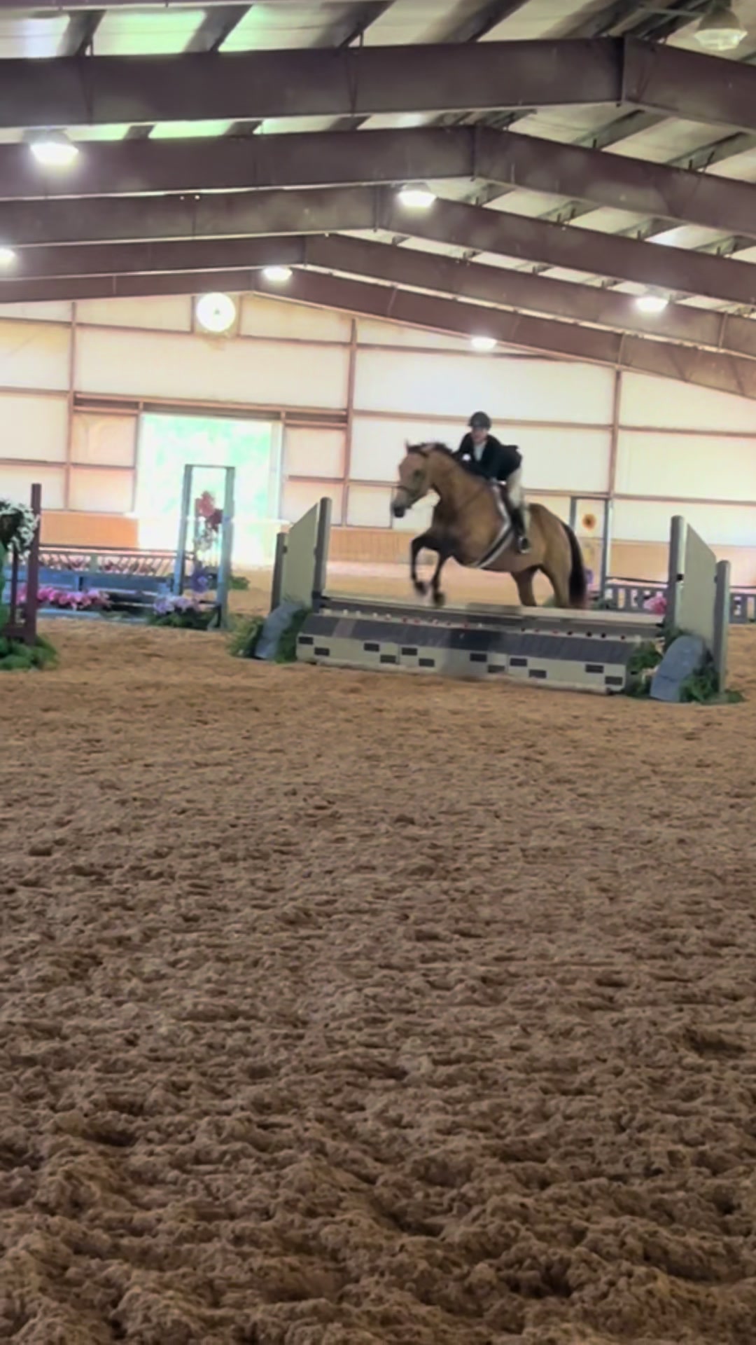 @Aftyn 🐎