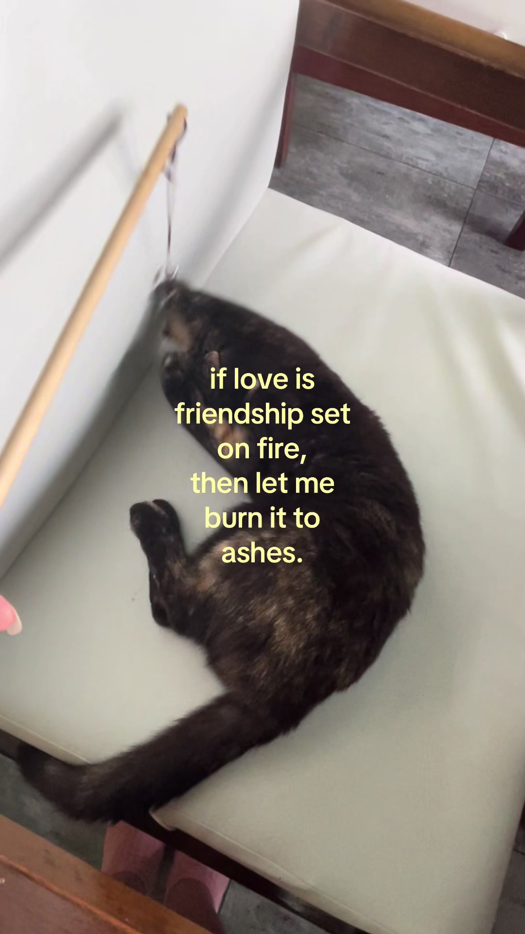 @❀