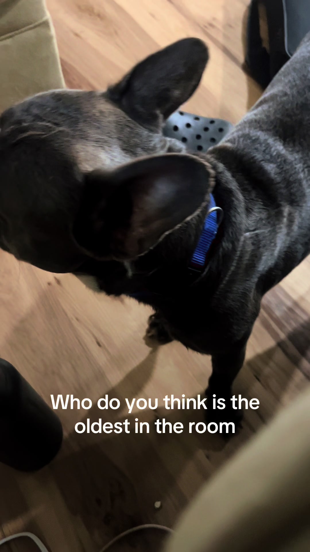 @Cj