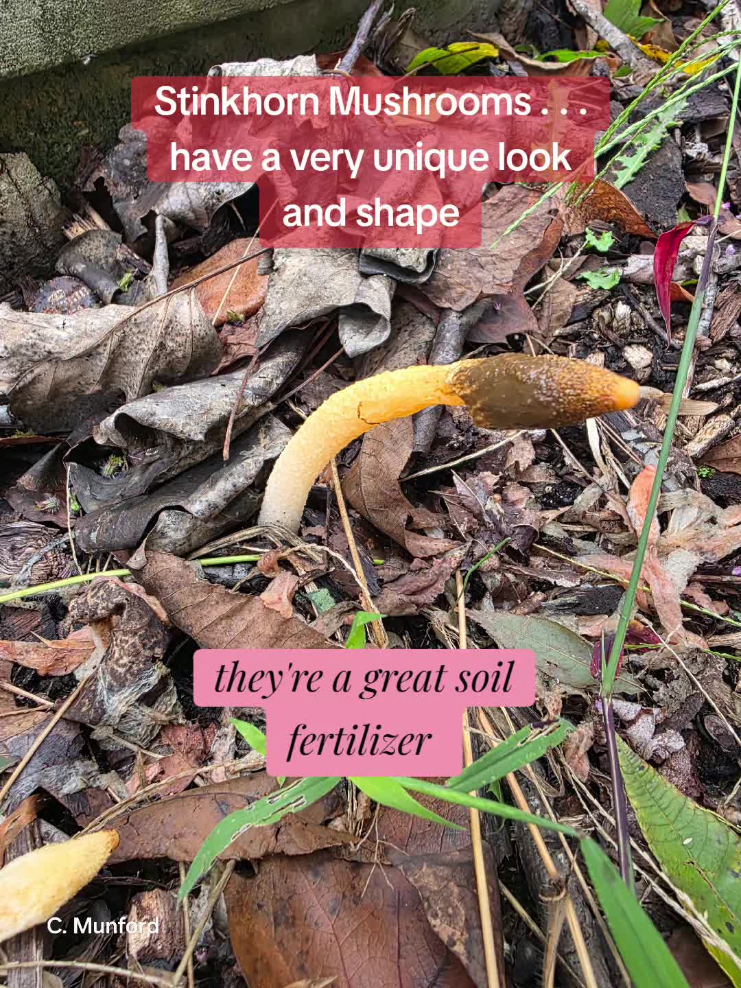 @TheMunfordMethod