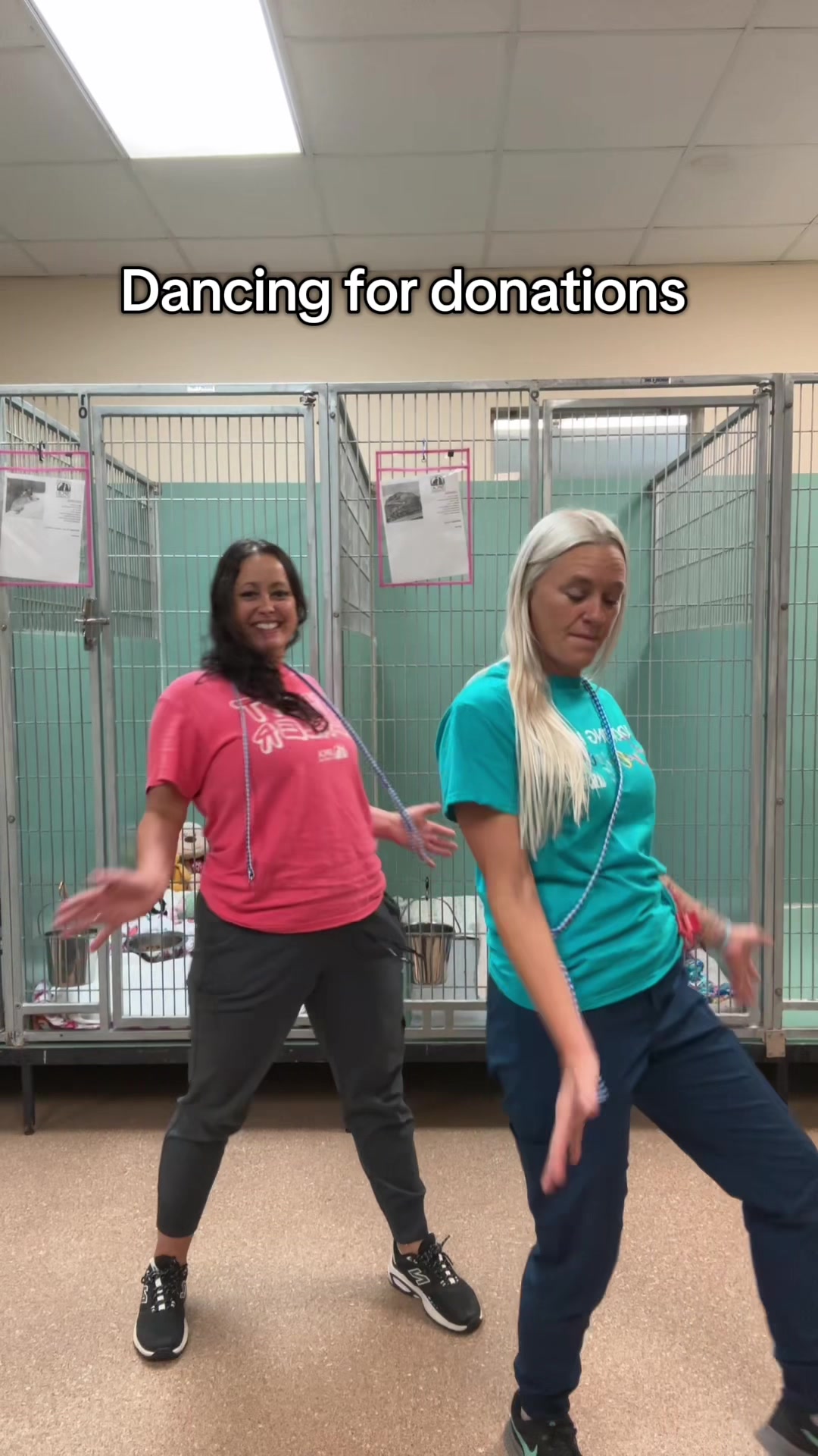 @2vettechs