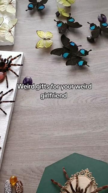 @TarantulaBox
