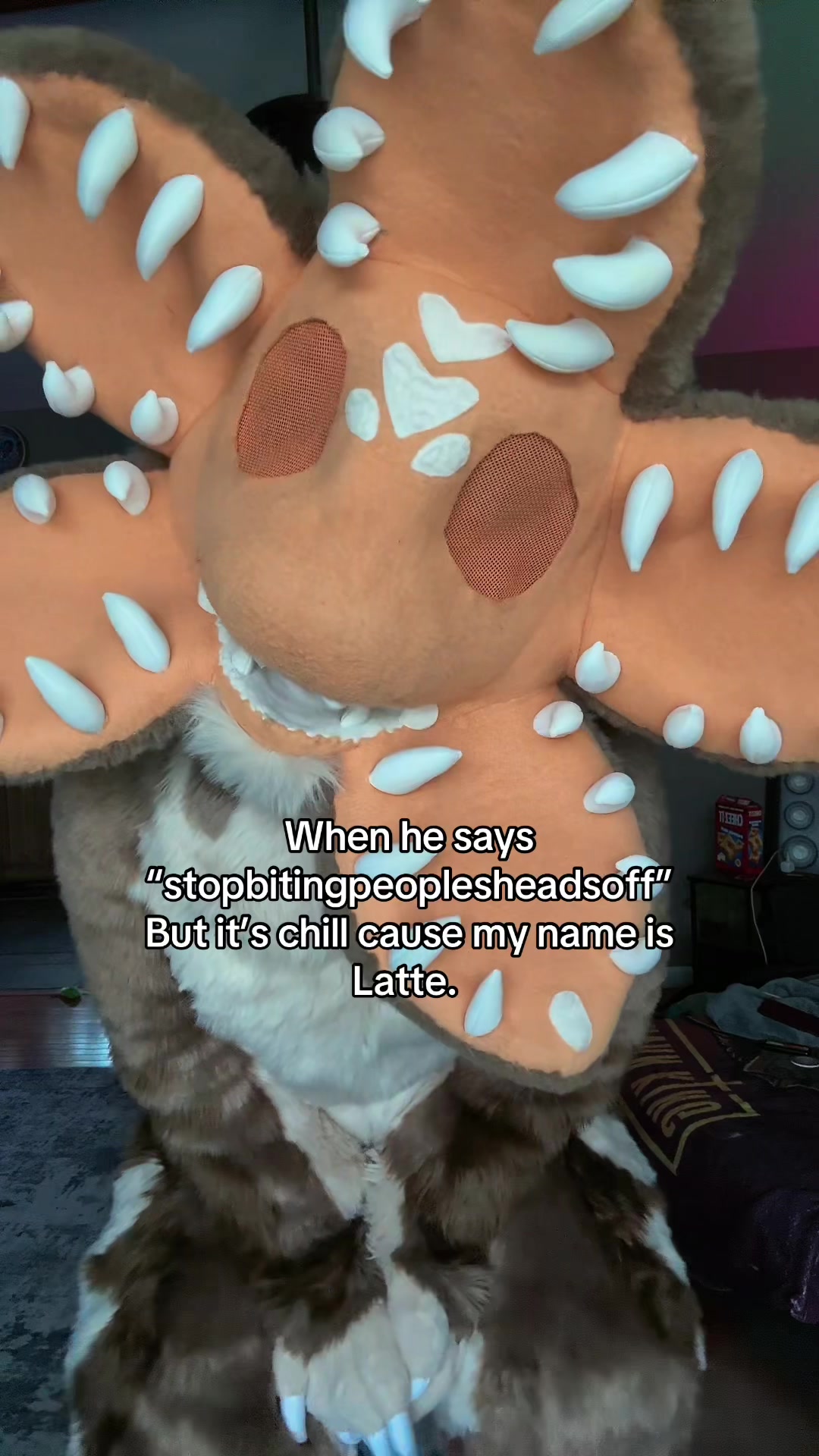 @Holofox