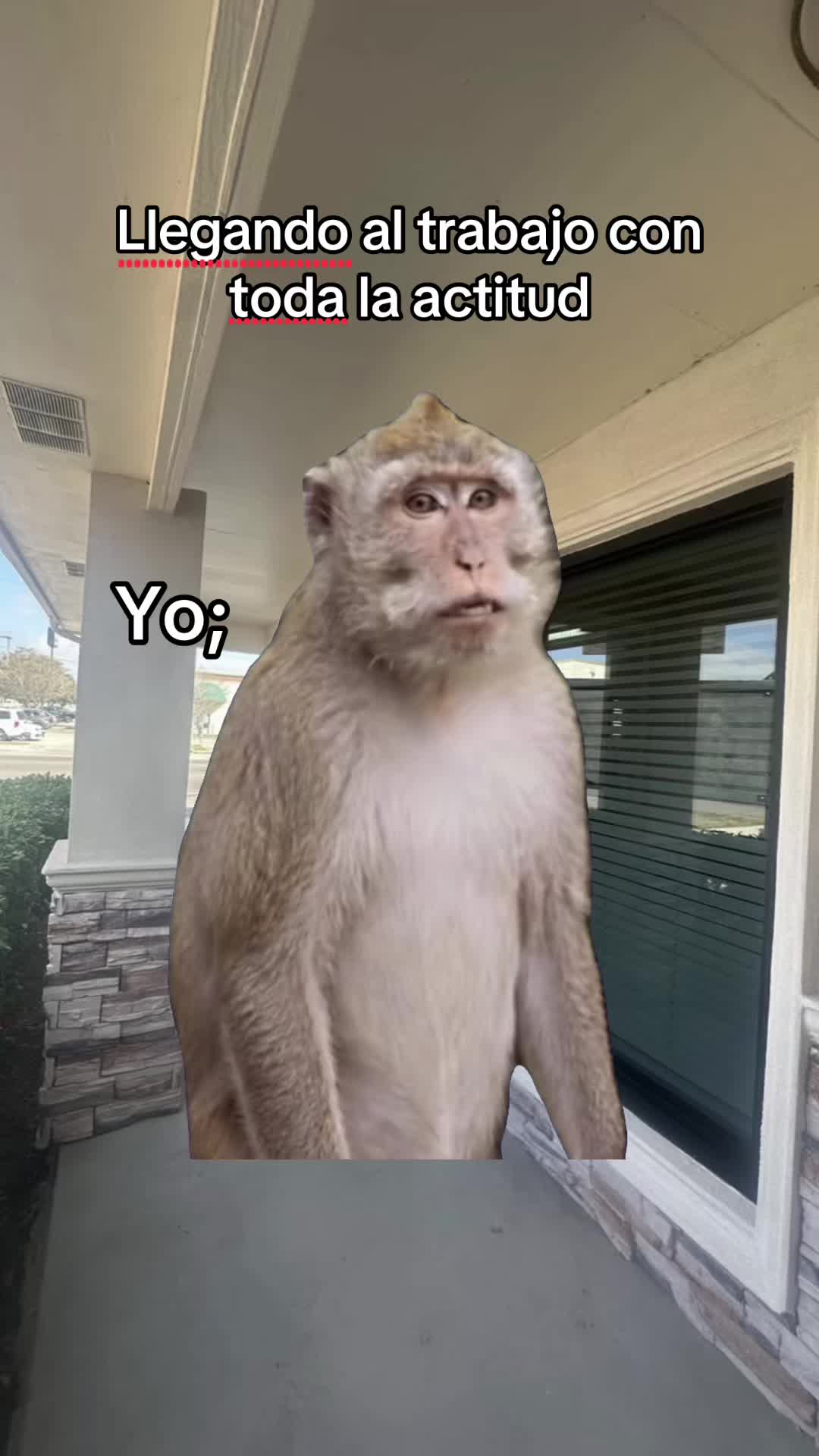 @Reyna Martinez