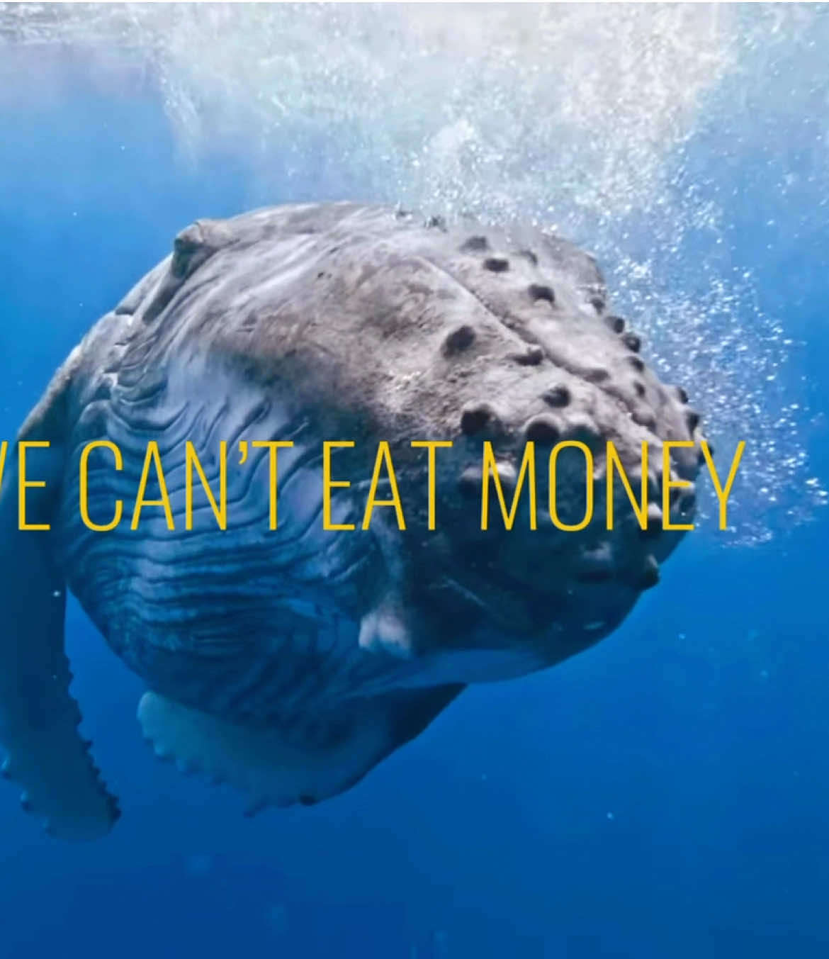 @gocean
