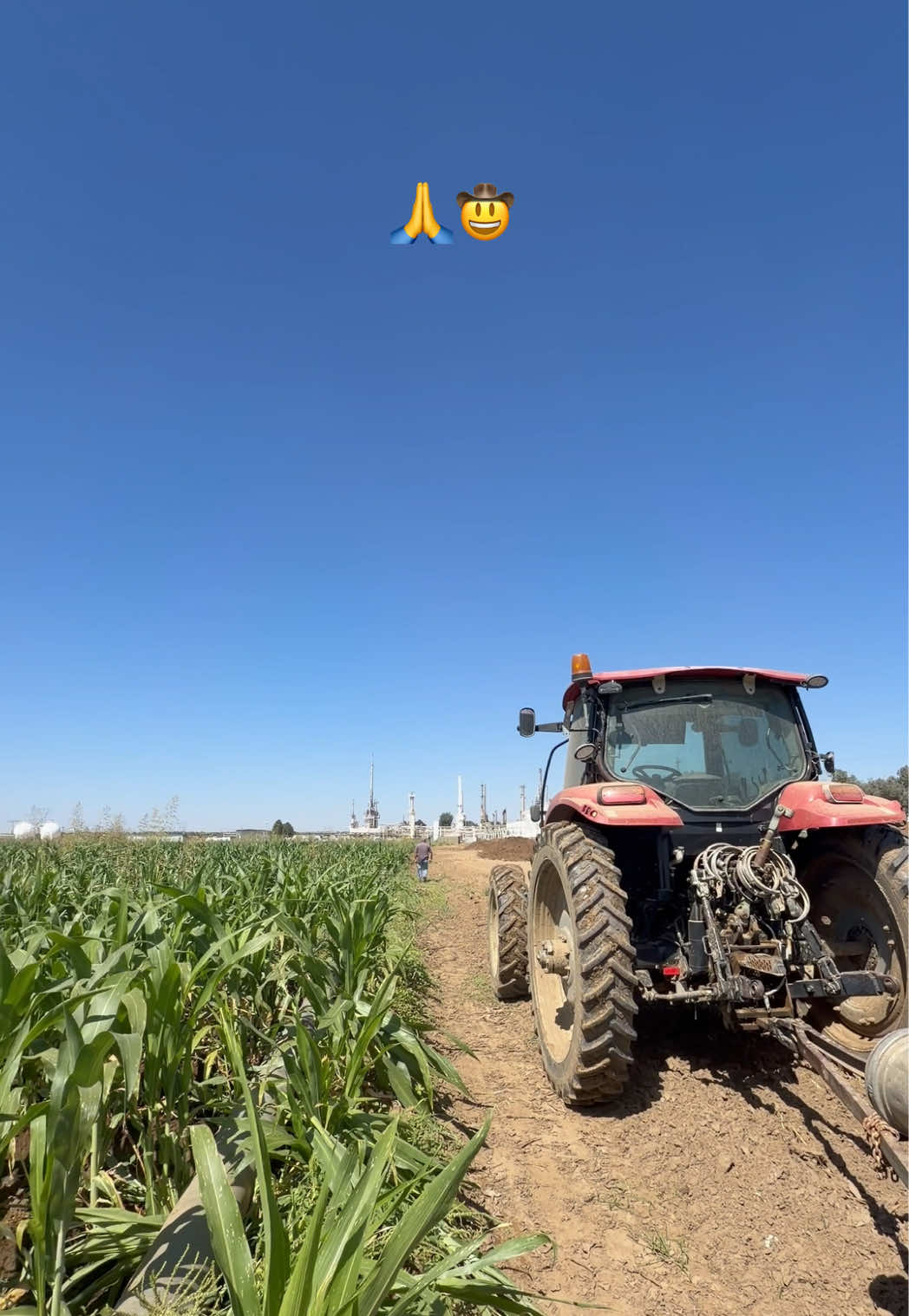 @Skylar Farming