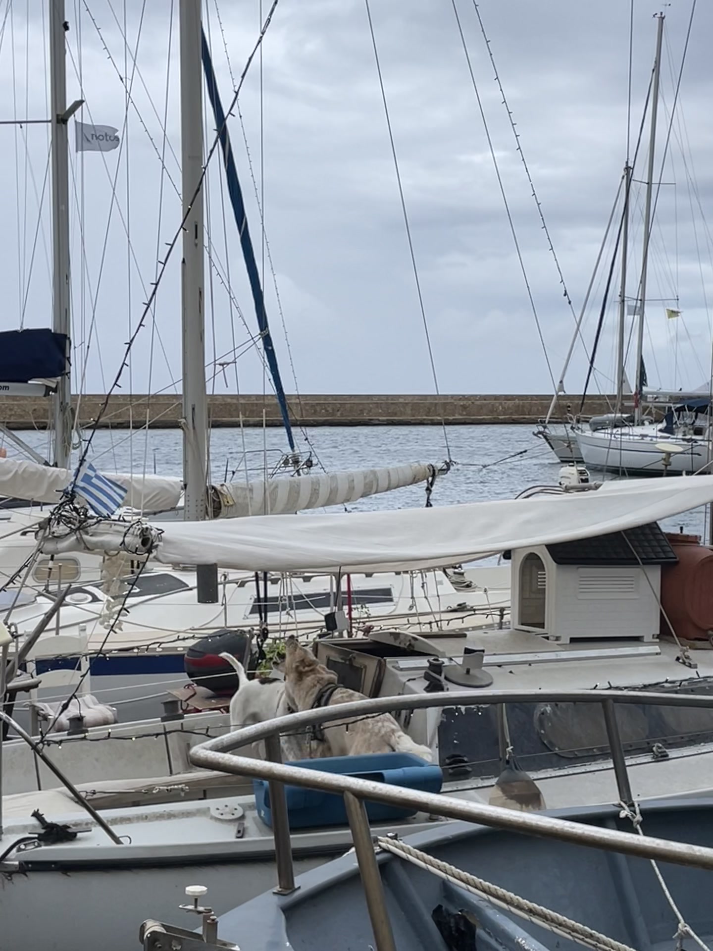 @Χριστίνα Λούτσα