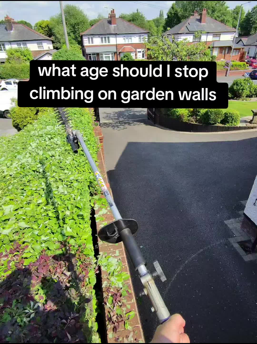 @BAA.GARDEN.SERVICES💎