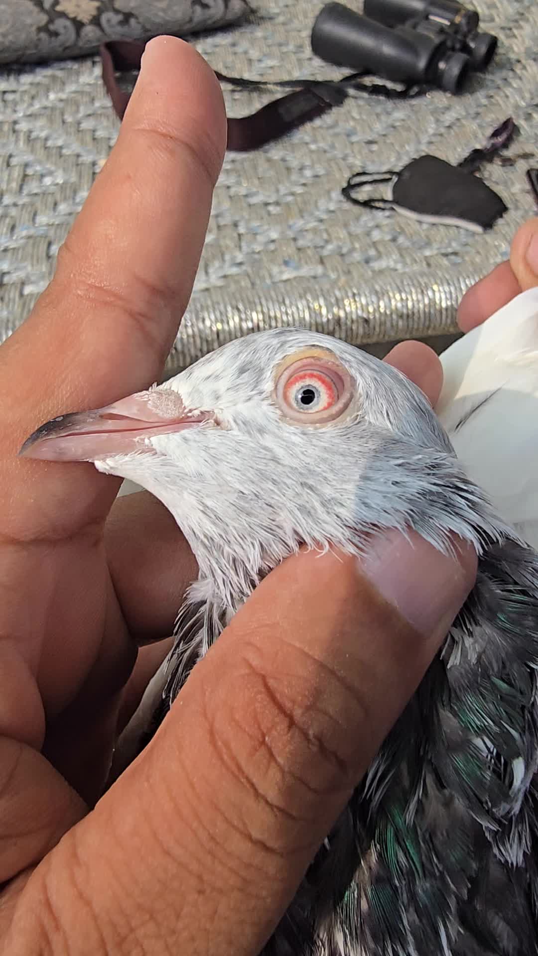@Malik Mohkam khokhar